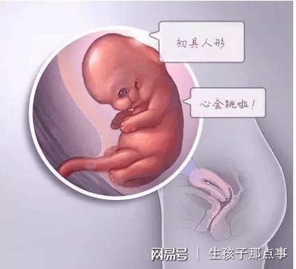 国医馆