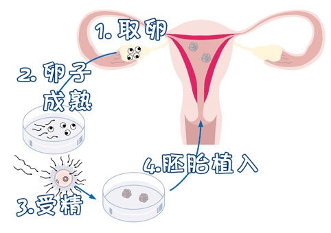 检验中心